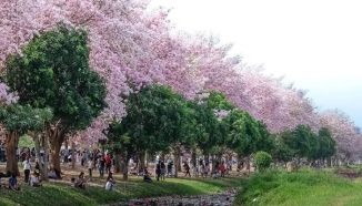 Wisata Surabaya Seperti di Jepang yang lagi Hits