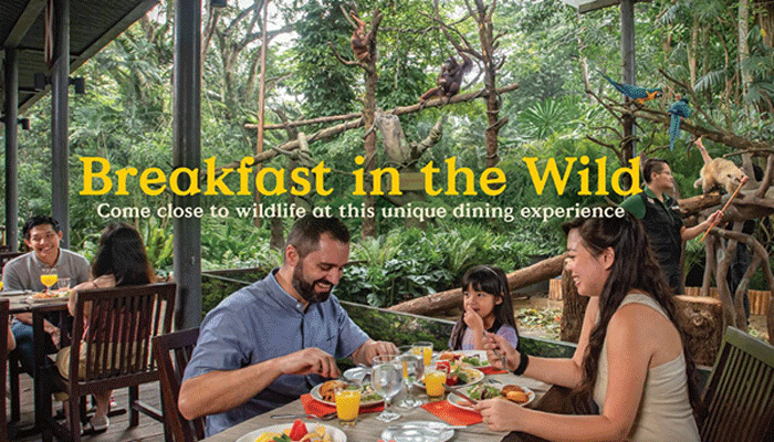 breakfast in the wild