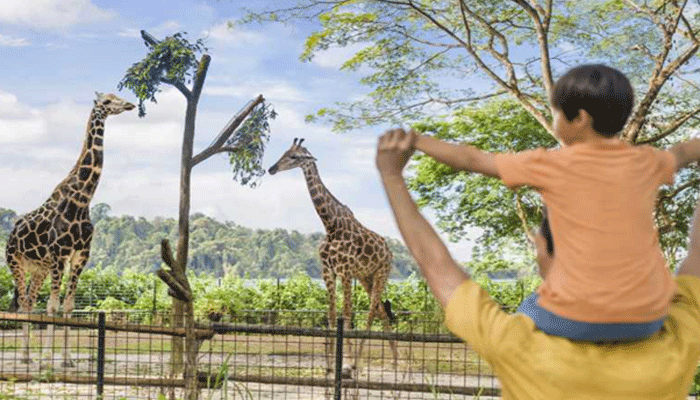 harga tiket Singapore zoo