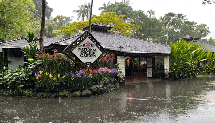 National Orchid Garden