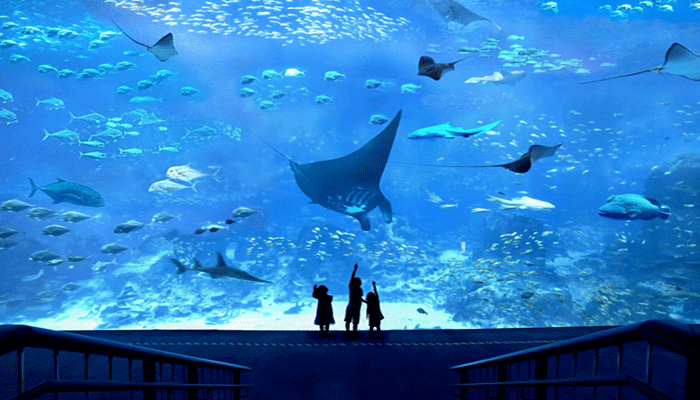 S.E.A. Aquarium Singapore