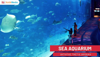 S.E.A. Aquarium, Pesona Keindahan Dunia Bawah Laut di Singapura