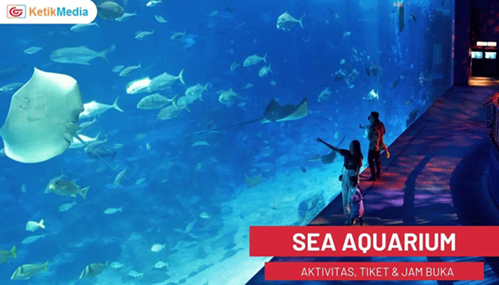 S.E.A. aquarium