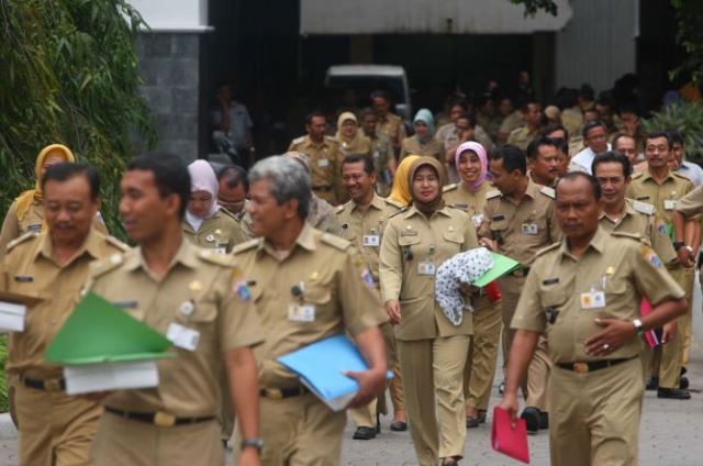 Cek Pengumuman Administrasi CPNS PPPK