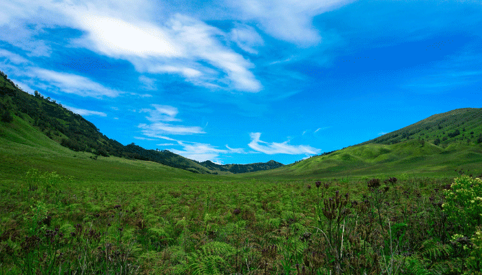 Bukit Teletubbies