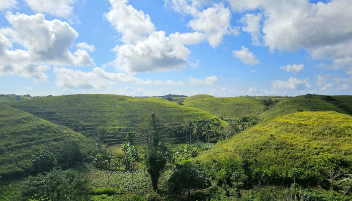 Bukit Teletubbies