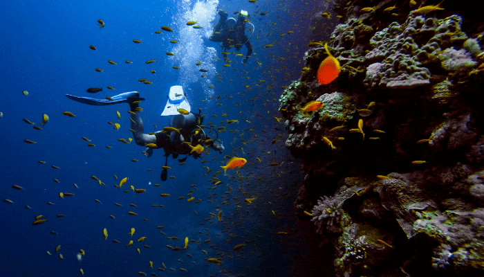 Cara Menikmati Laut Raja Ampat