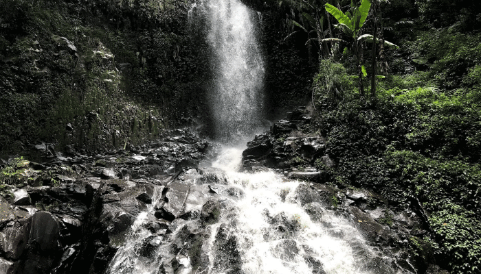 Coban Trisula