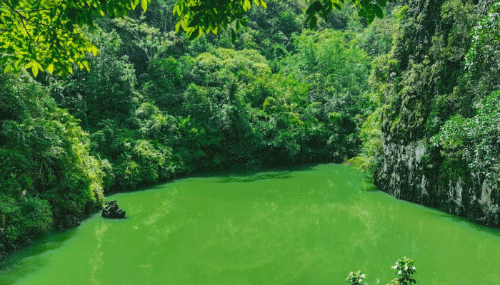 Danau Limbong