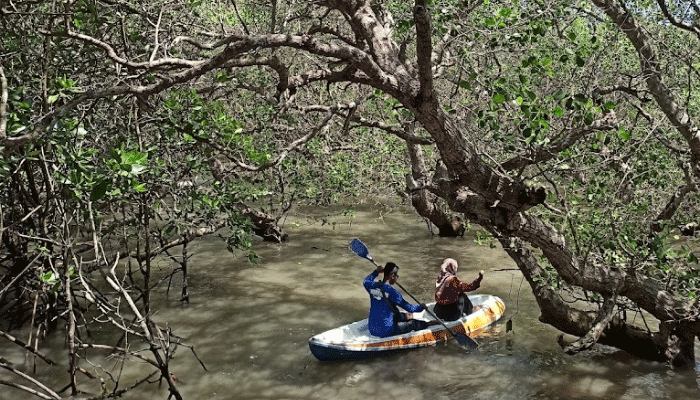 Ekowisata Bale Mangrove