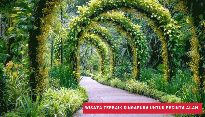 Wisata Terbaik Singapura untuk Pecinta Alam