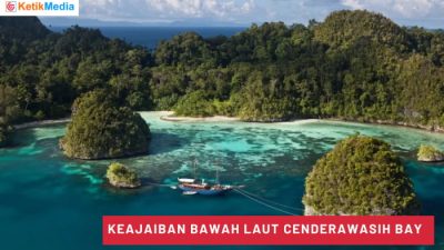 Keajaiban Bawah Laut Cenderawasih Bay