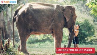 Ayo ke Lombok Wildlife Park! Cek Panduan Wisatanya Di Sini!