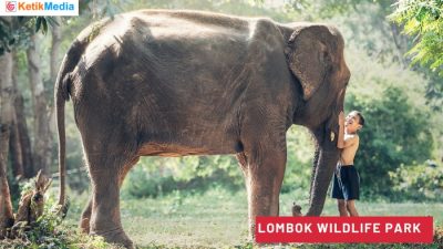 Lombok Wildlife Park