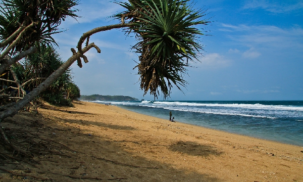 pantai Sepanjang