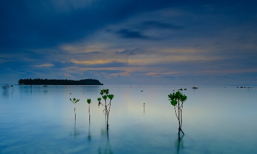 Pantai Sebalang