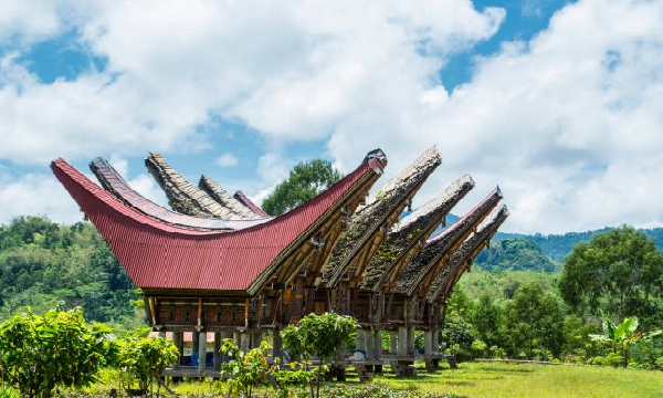 fakta menarik tana toraja
