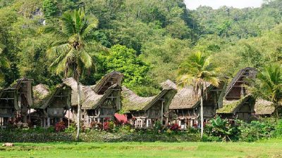 potensi unggulan daerah Tana Toraja