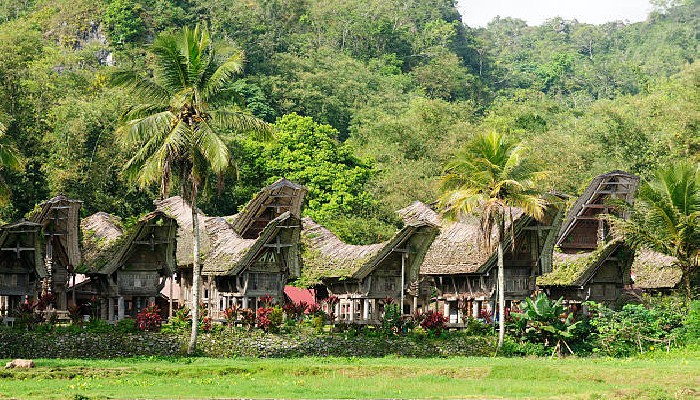 potensi unggulan daerah Tana Toraja