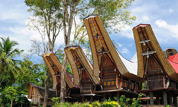 Tana Toraja