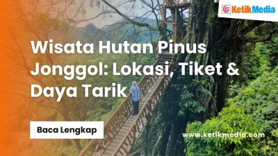 Wisata Hutan Pinus Jonggol