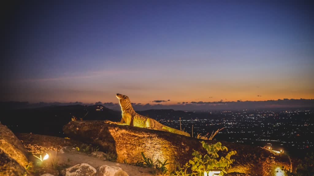wisata obelix hills di jogja