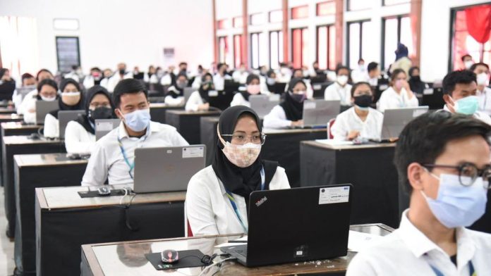 Fakta CPNS 2024 Fresh Graduate Bisa Daftar