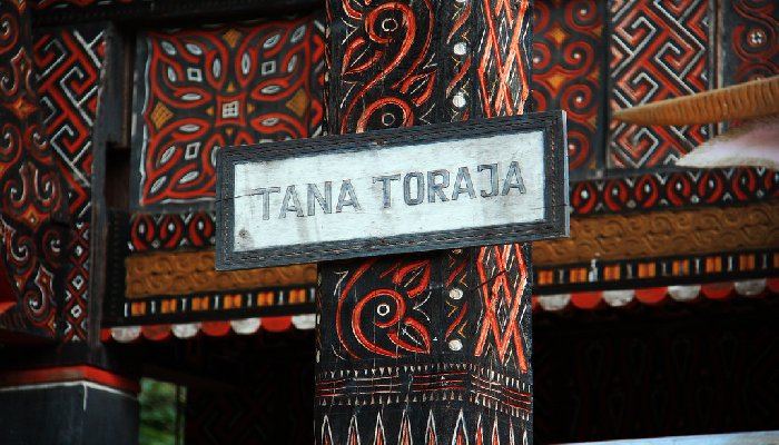 fakta pemilu Tana Toraja