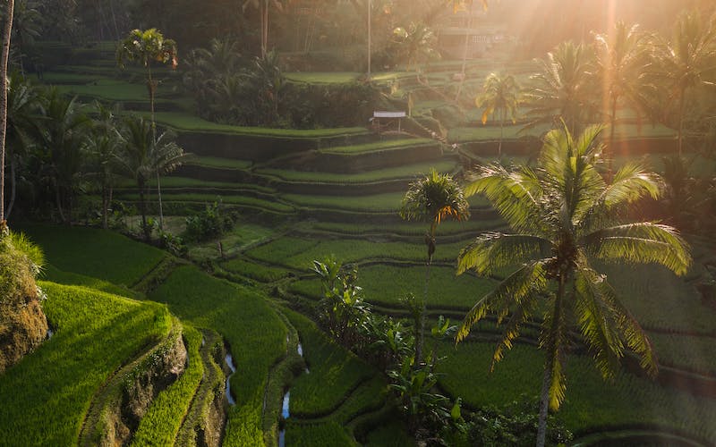 wisata alam di bali terbaru