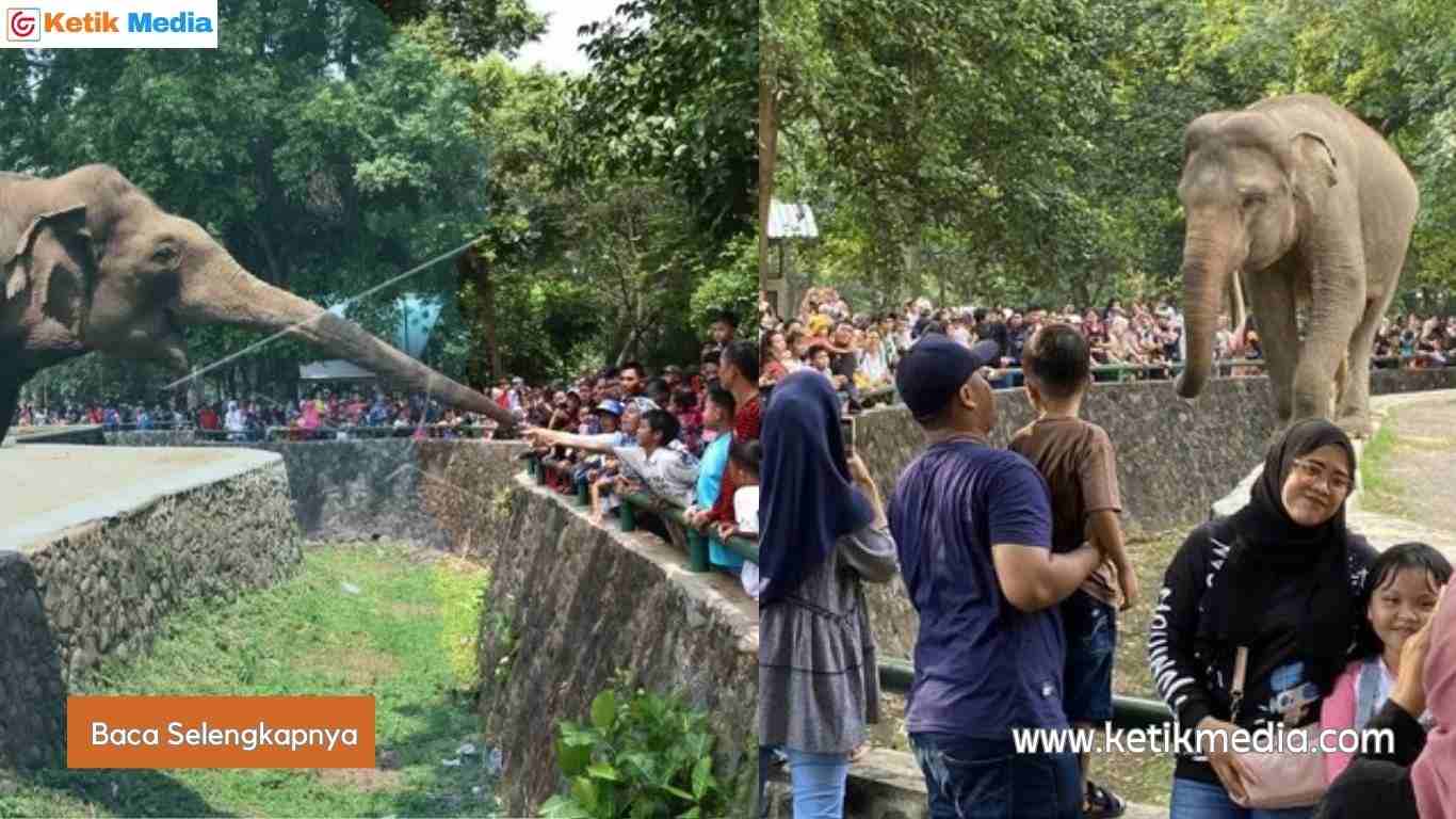 Kebun Binatang Ragunan