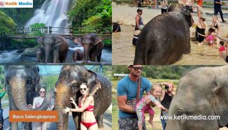 Taman Gajah di Green Elephant Sanctuary Park
