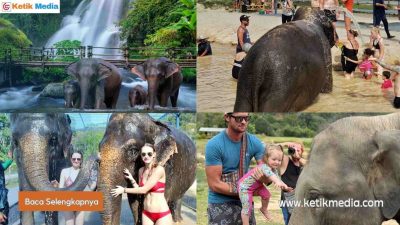 Taman Gajah di Green Elephant Sanctuary Park