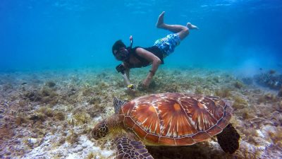 Rekomendasi Pantai Jogja Snorkeling dengan Pemandangan Laut yang Indah