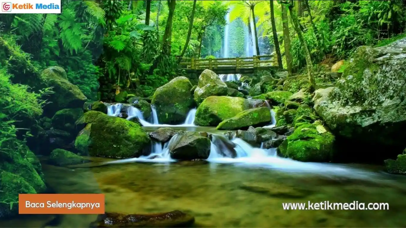 air terjun segoro gunung