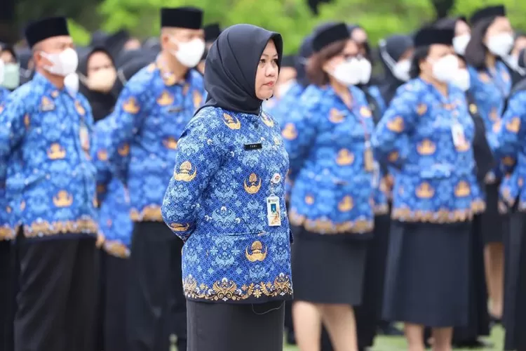 single salary pns