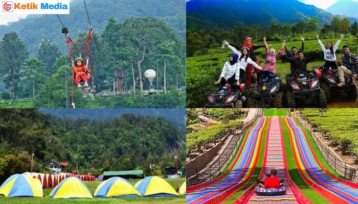 agrowisata gunung mas bogor