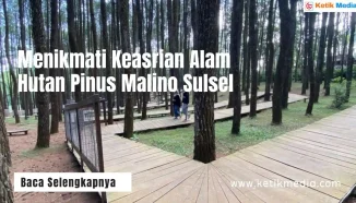 Menikmati Keasrian Alam di Hutan Pinus Malino Sulsel