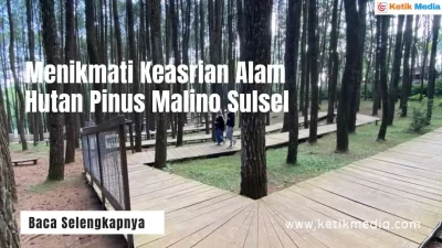 Hutan Pinus Malino