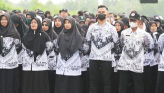 Gaji 13 untuk Honorer dan PTT Cair? Yuk, Catat Tanggalnya