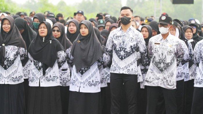 gaji 13 untuk honorer