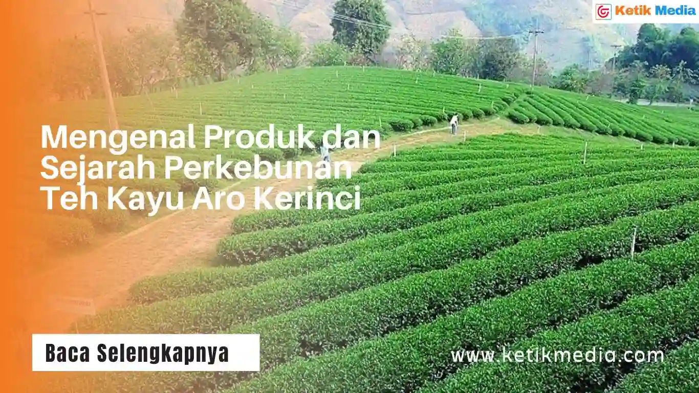 Kayu Aro Kerinci