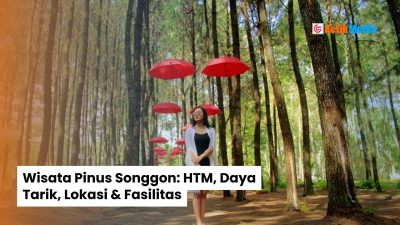 Wisata Pinus Songgon