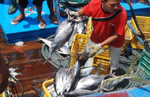 Pemprov Kendalikan Harga Ikan