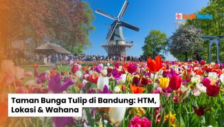 Taman Bunga Tulip di Bandung: HTM, Lokasi & Wahana