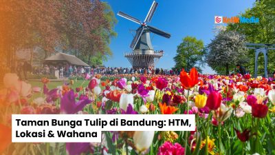 Taman Bunga Tulip di Bandung: HTM, Lokasi & Wahana