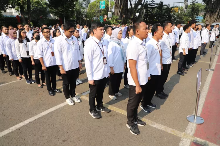 Jadwal pendaftaran CPNS 2024