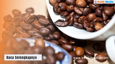 Cita Rasa Kopi Lampung Terkenal, Keistimewaan Tak Tertandingi