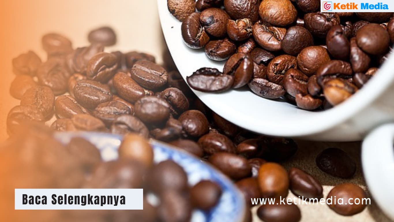 kopi lampung terkenal