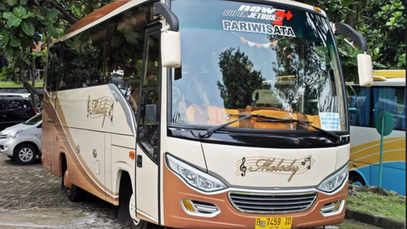 sewa bus pariwisata