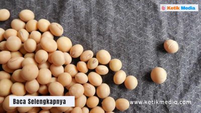 makanan penurun kolesterol